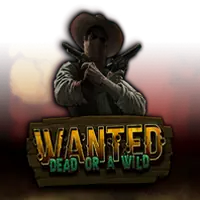 Wanted Dead or a Wild